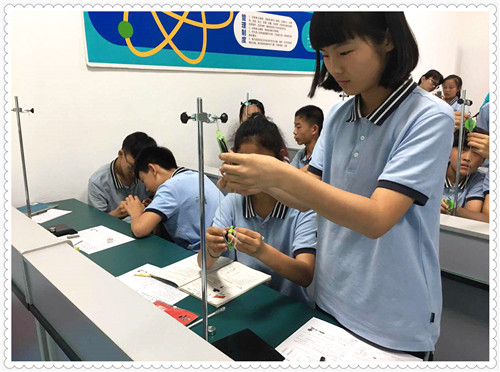物理课——滑轮魅力